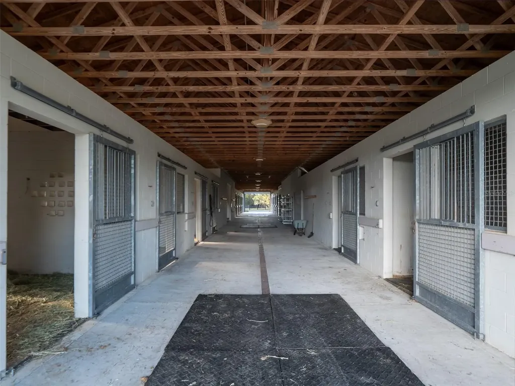 9001 NW 200th Street Road Micanopy FL 32667