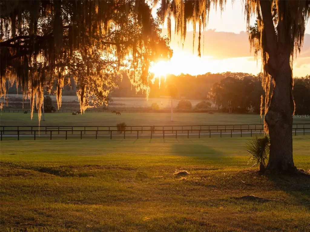 9001 NW 200th Street Road Micanopy FL 32667