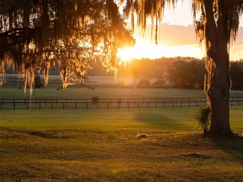 9001 NW 200th Street Road Micanopy FL 32667