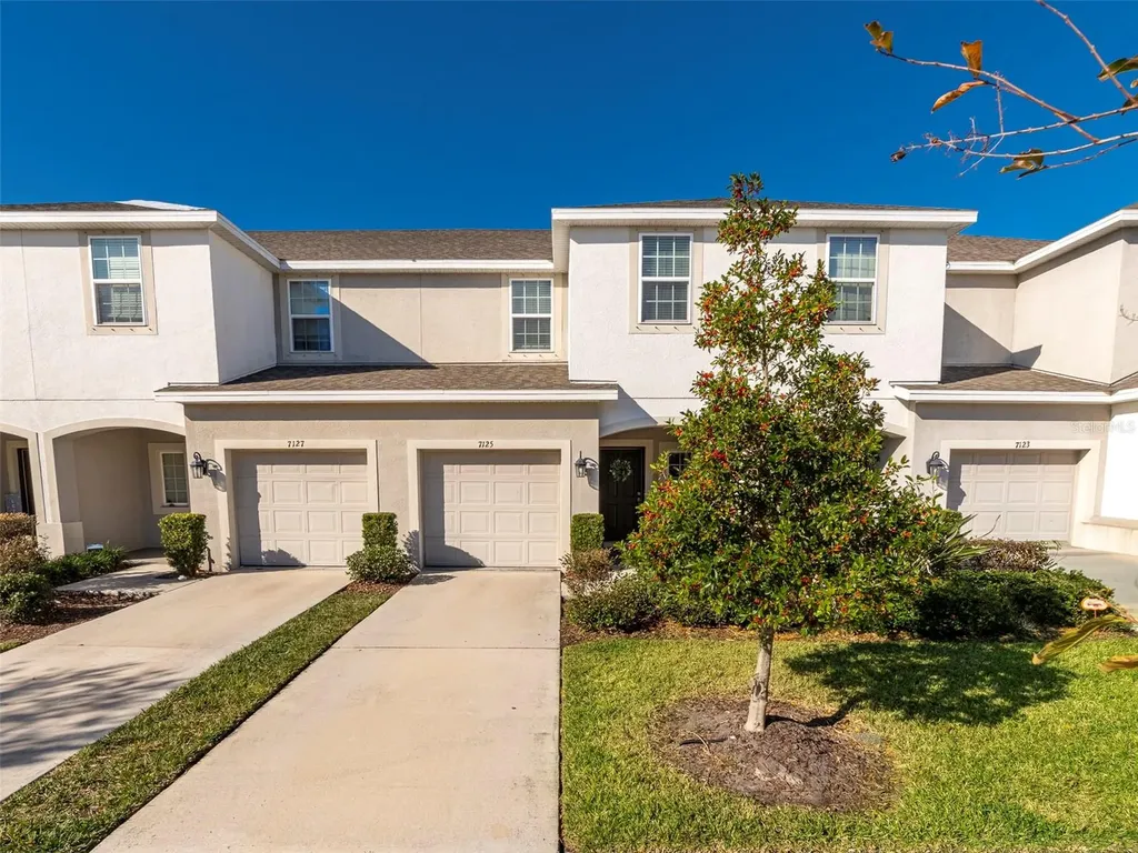 7125 Summer Holly Place Riverview FL 33578