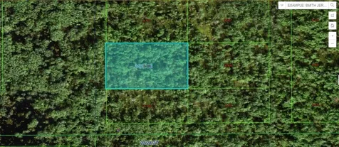 Commonwealth Avenue N Polk City FL 33868