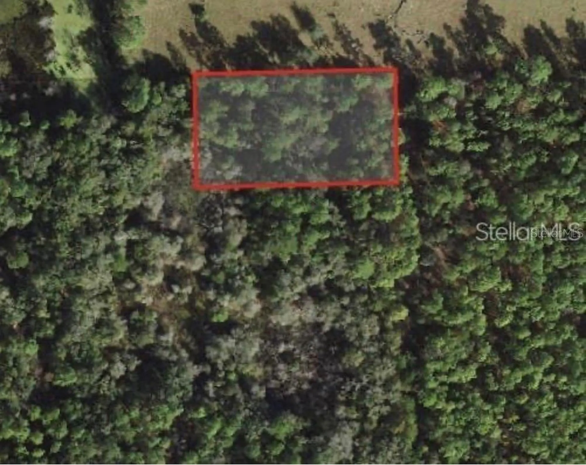 5230 N Whetstone Point Crystal River FL 34428