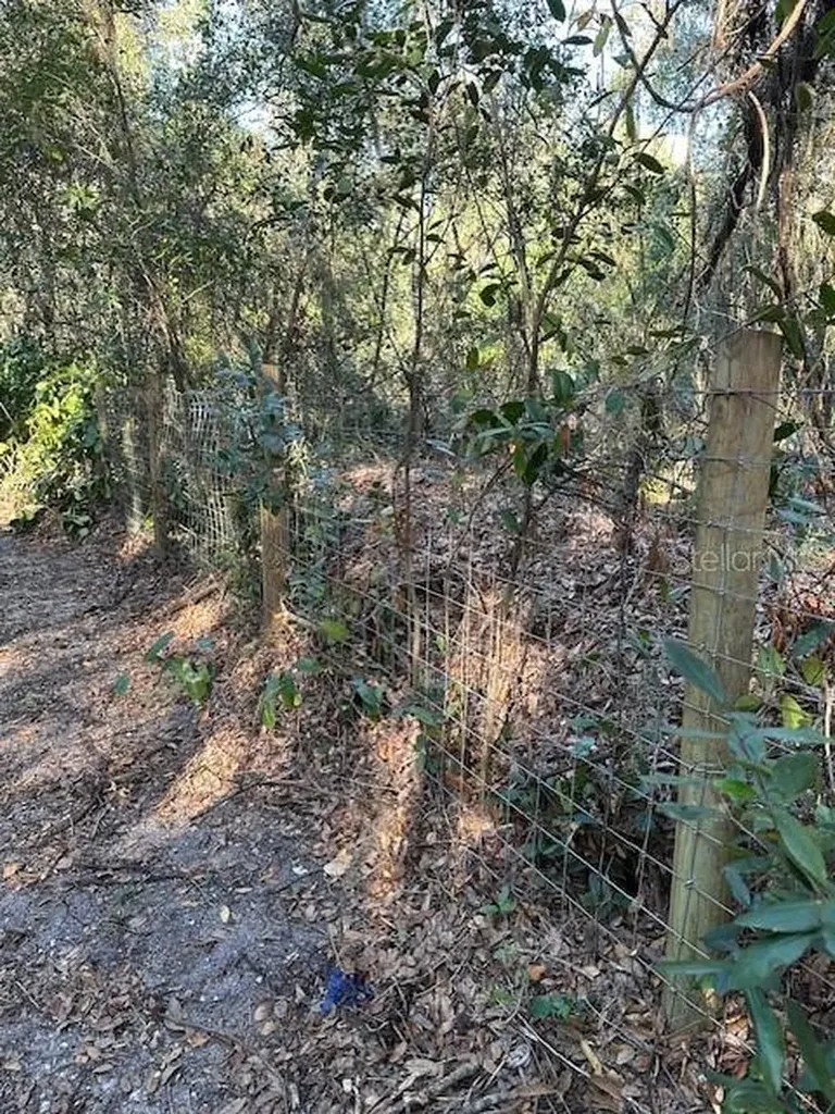 1918 Mountain Lake Cutoff Road Lake Wales FL 33859