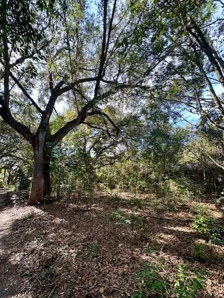 1918 Mountain Lake Cutoff Road Lake Wales FL 33859