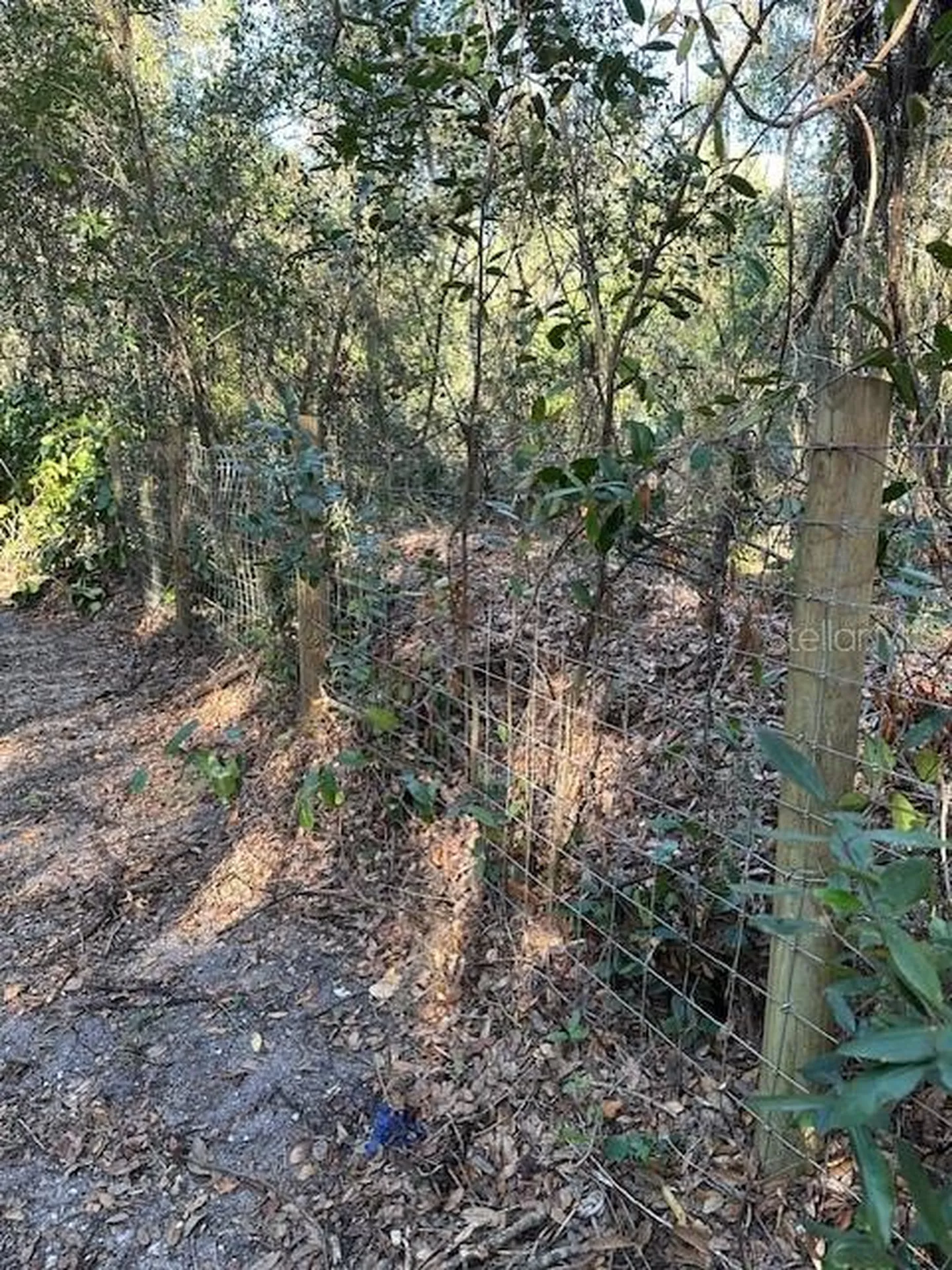 1918 Mountain Lake Cutoff Road Lake Wales FL 33859