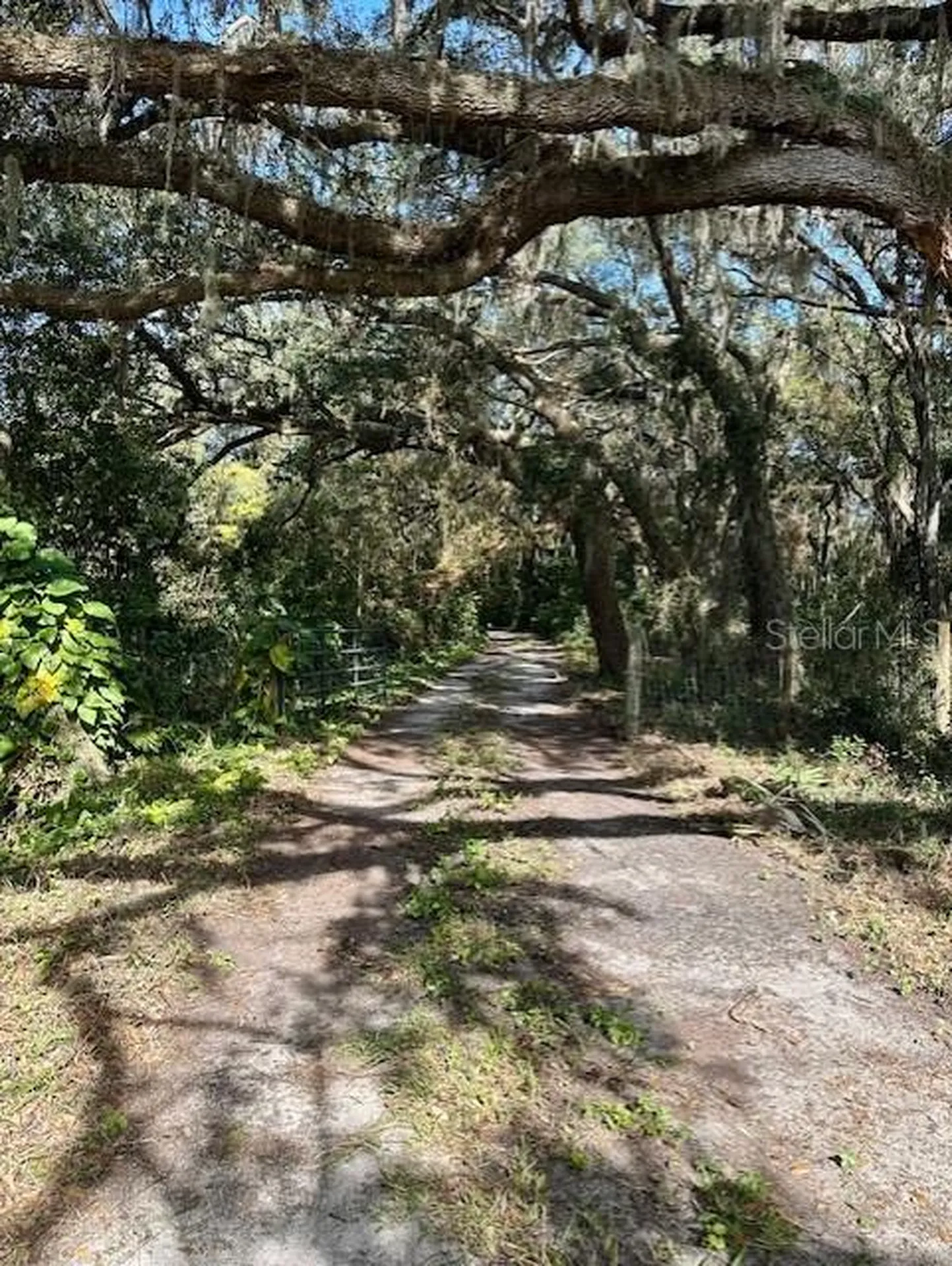 1918 Mountain Lake Cutoff Road Lake Wales FL 33859