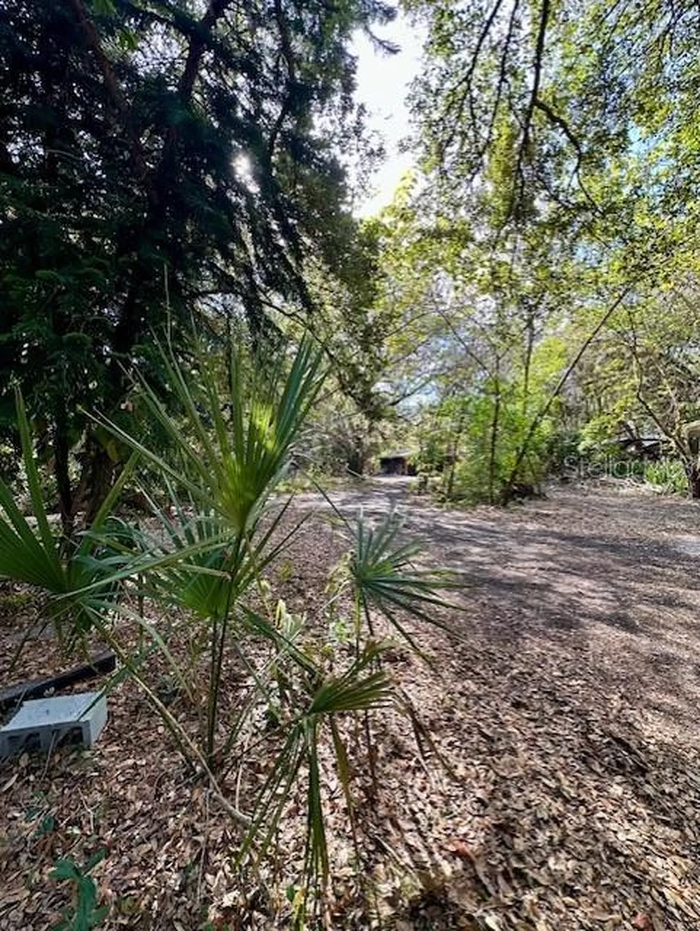 1918 Mountain Lake Cutoff Road Lake Wales FL 33859