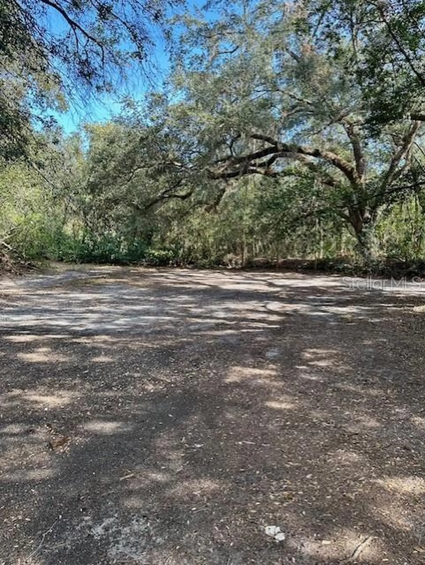 1918 Mountain Lake Cutoff Road Lake Wales FL 33859