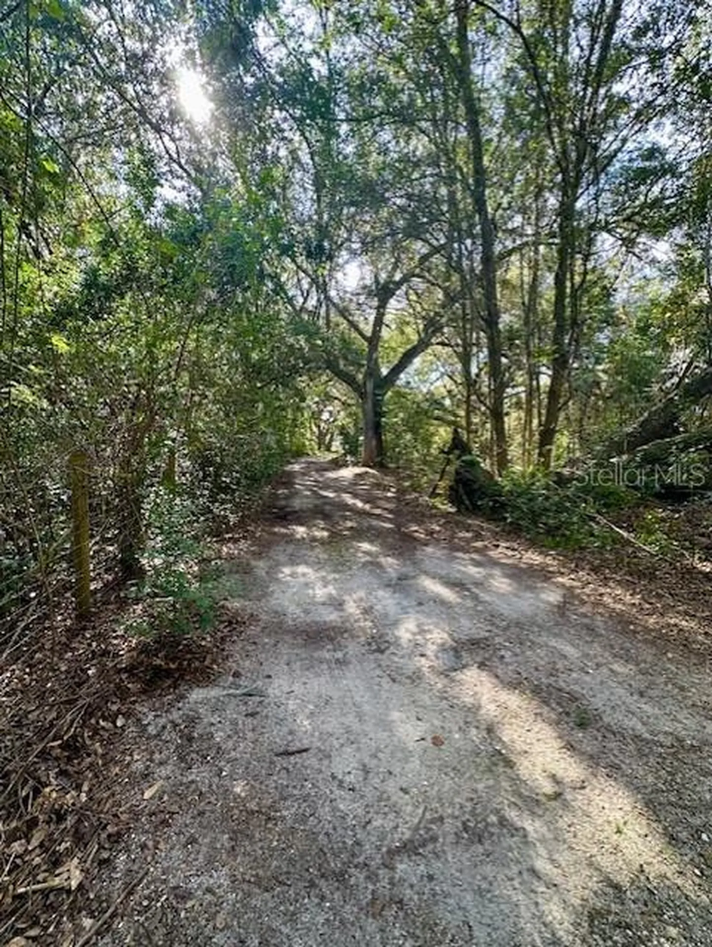 1918 Mountain Lake Cutoff Road Lake Wales FL 33859