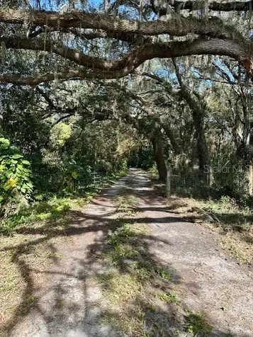 1918 Mountain Lake Cutoff Road Lake Wales FL 33859