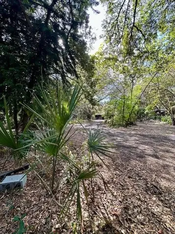 1918 Mountain Lake Cutoff Road Lake Wales FL 33859