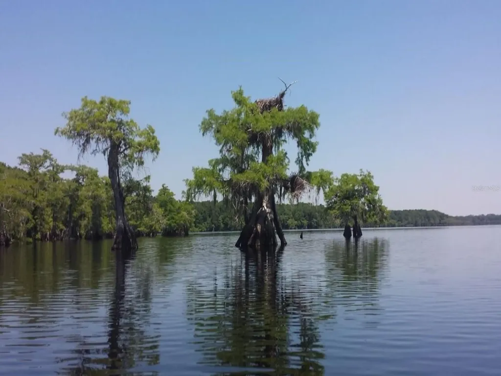 Royal Trails Road Eustis FL 32736