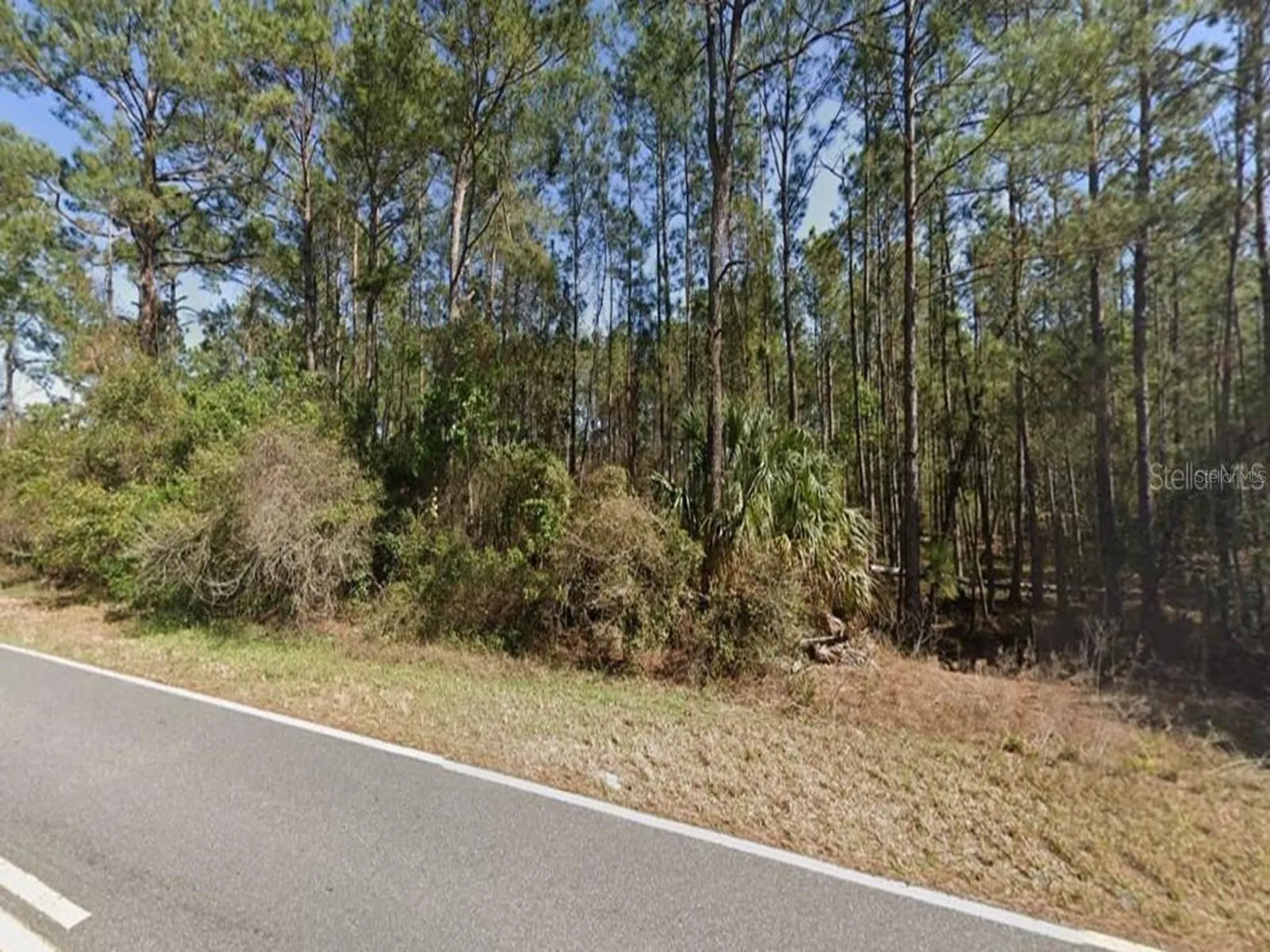 Royal Trails Road Eustis FL 32736