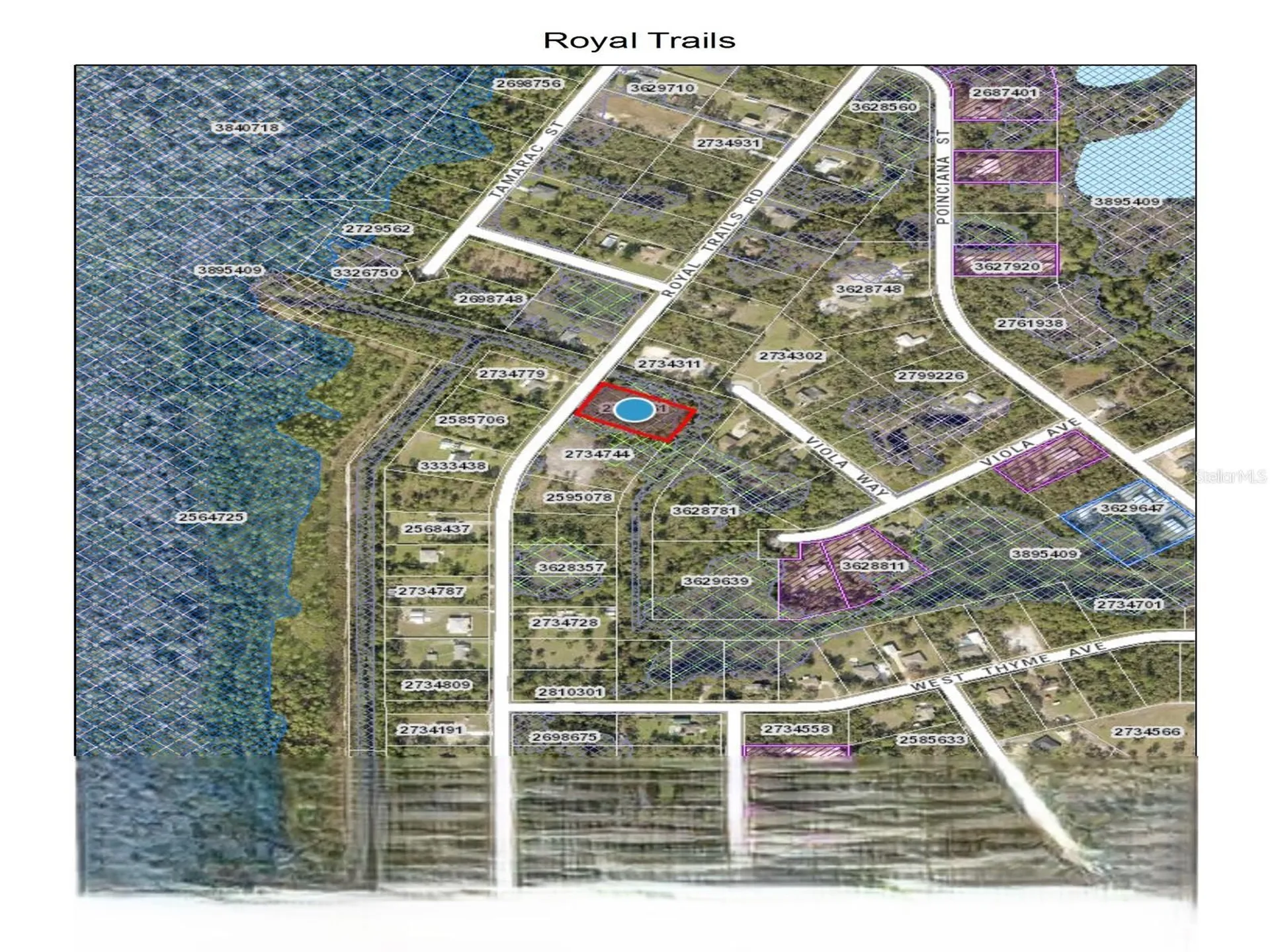 Royal Trails Road Eustis FL 32736
