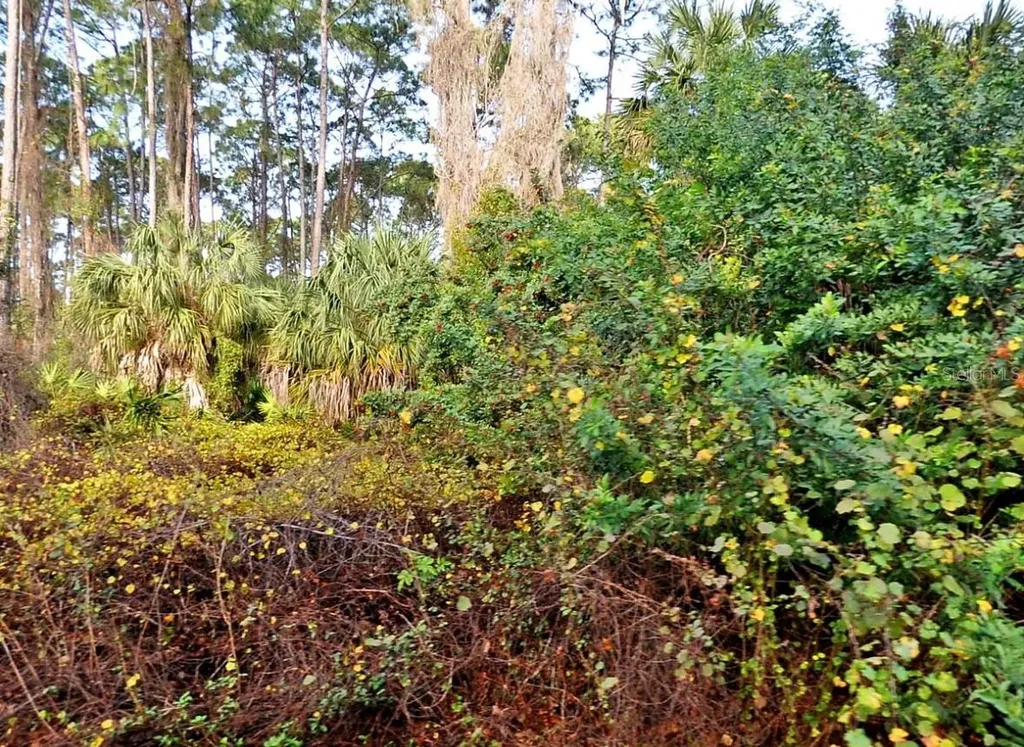 Daphne Road North Port FL 34288