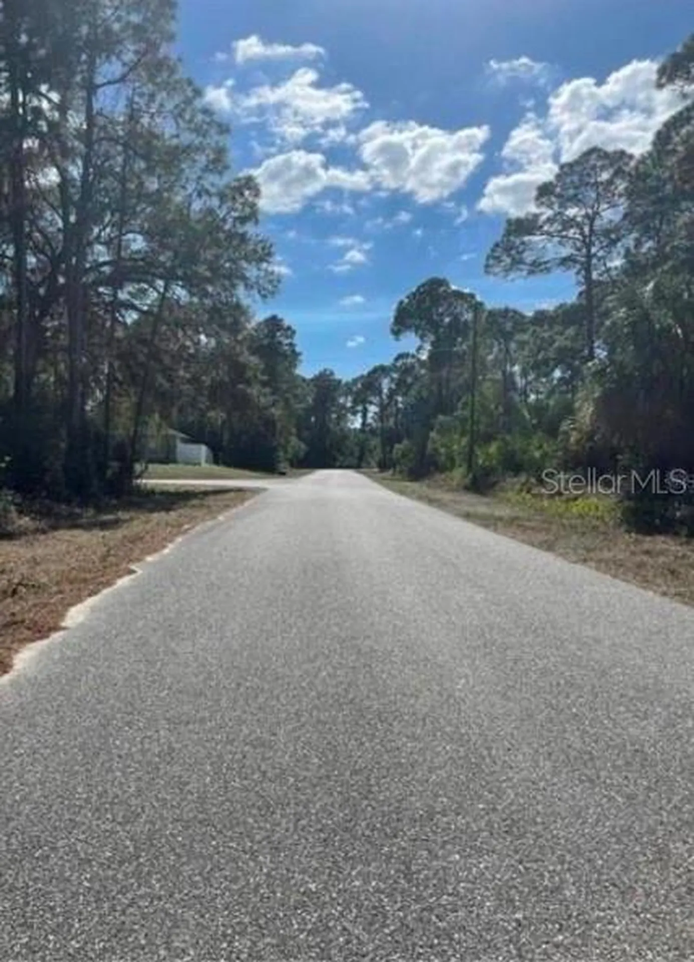 Daphne Road North Port FL 34288