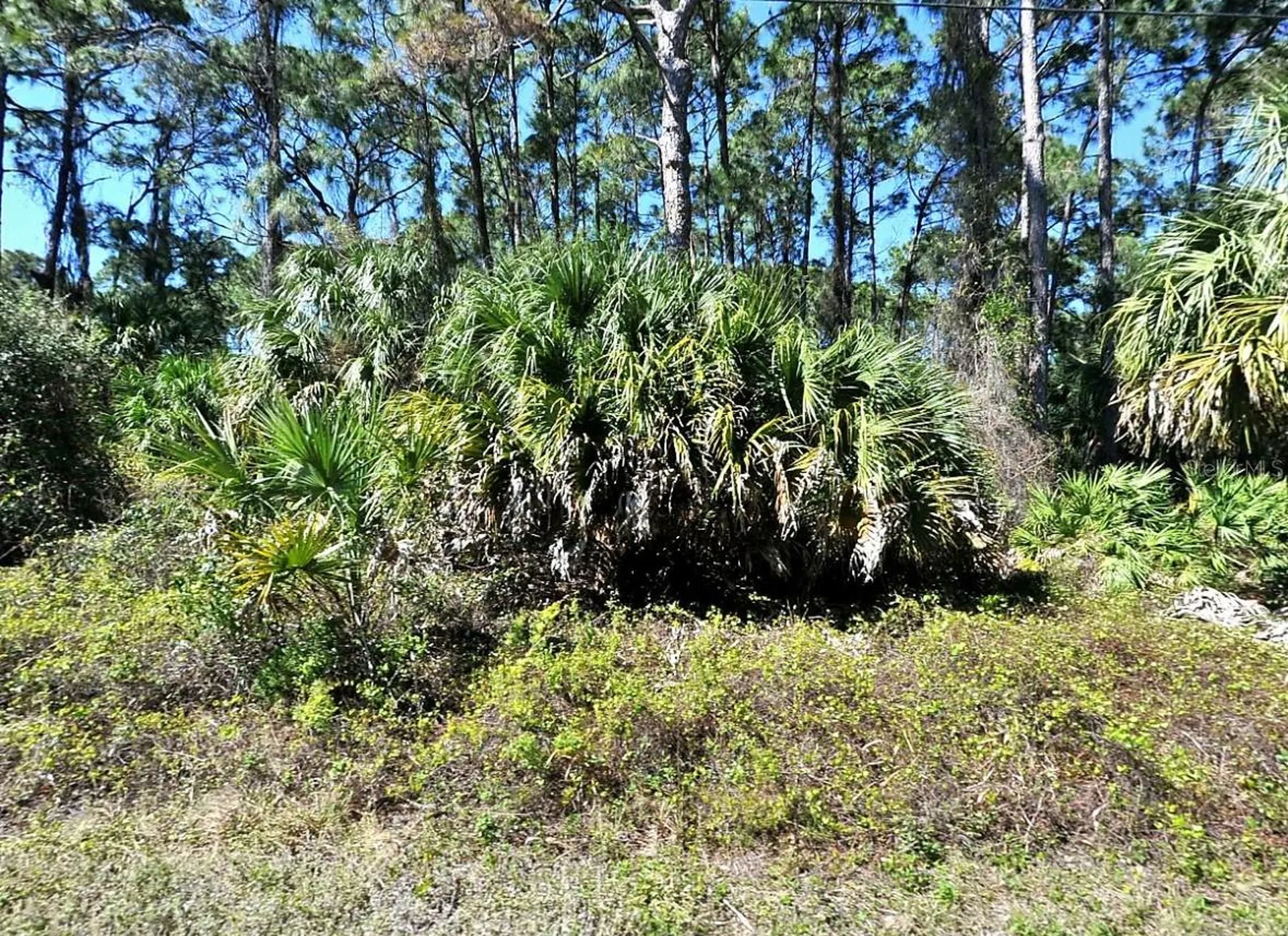 Daphne Road North Port FL 34288