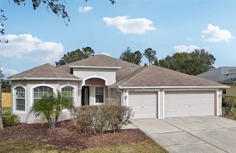 22707 Eagles Watch Drive Land O Lakes FL 34639