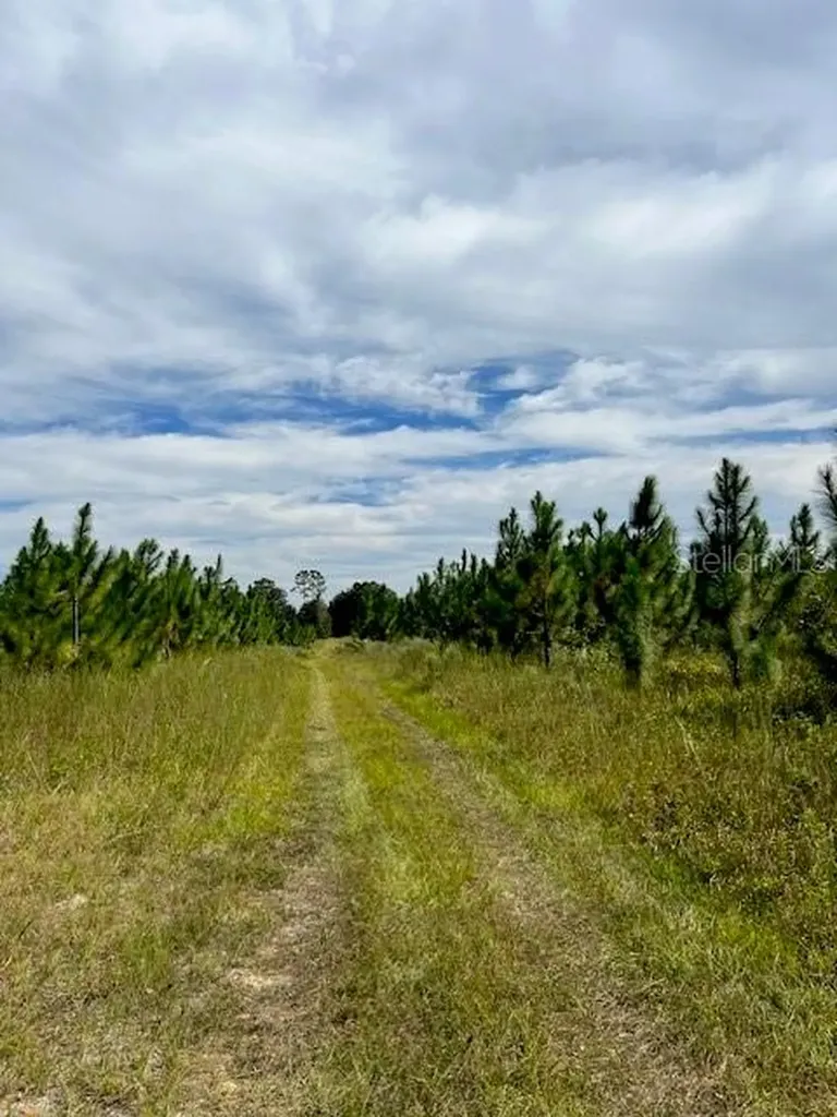 759 SW Upchurch Avenue Lake City FL 32024