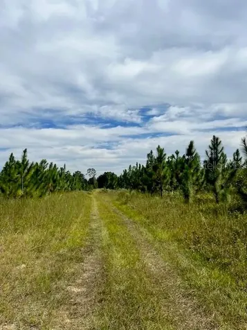 759 SW Upchurch Avenue Lake City FL 32024