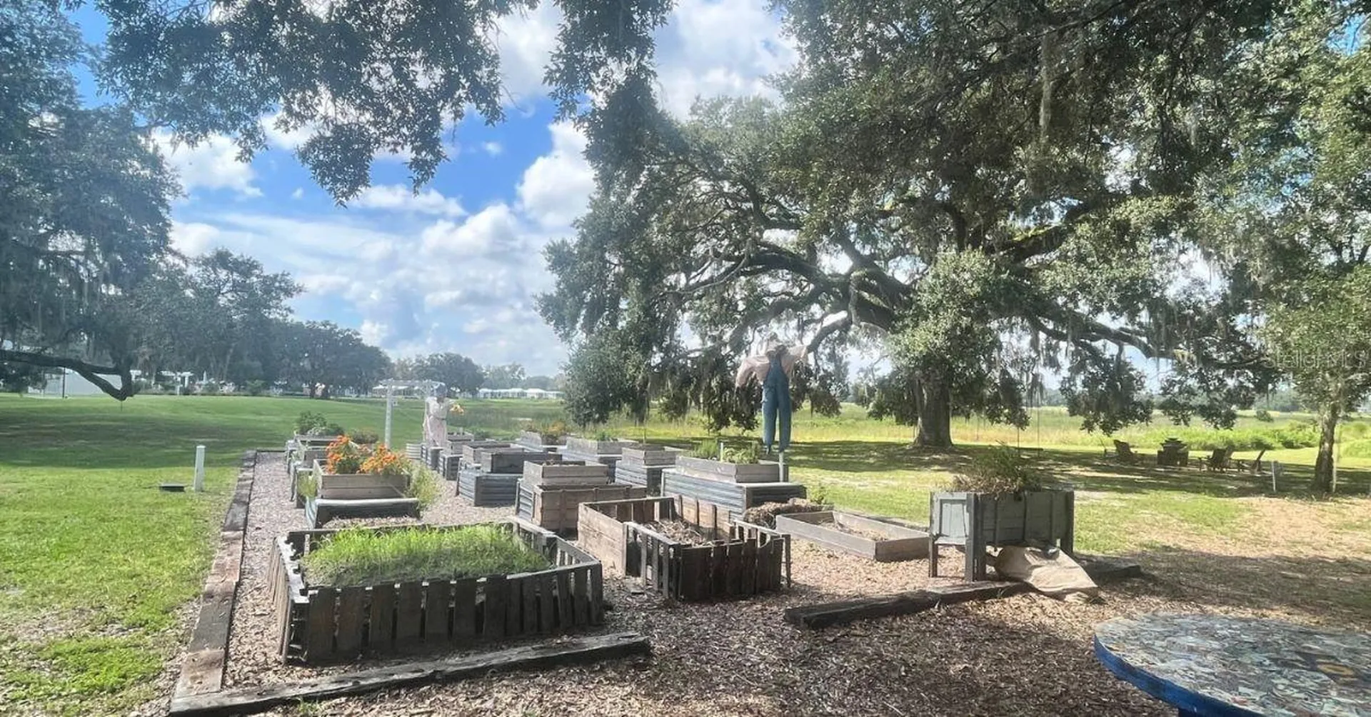 12143 Grand Oak Lane Oxford FL 34484