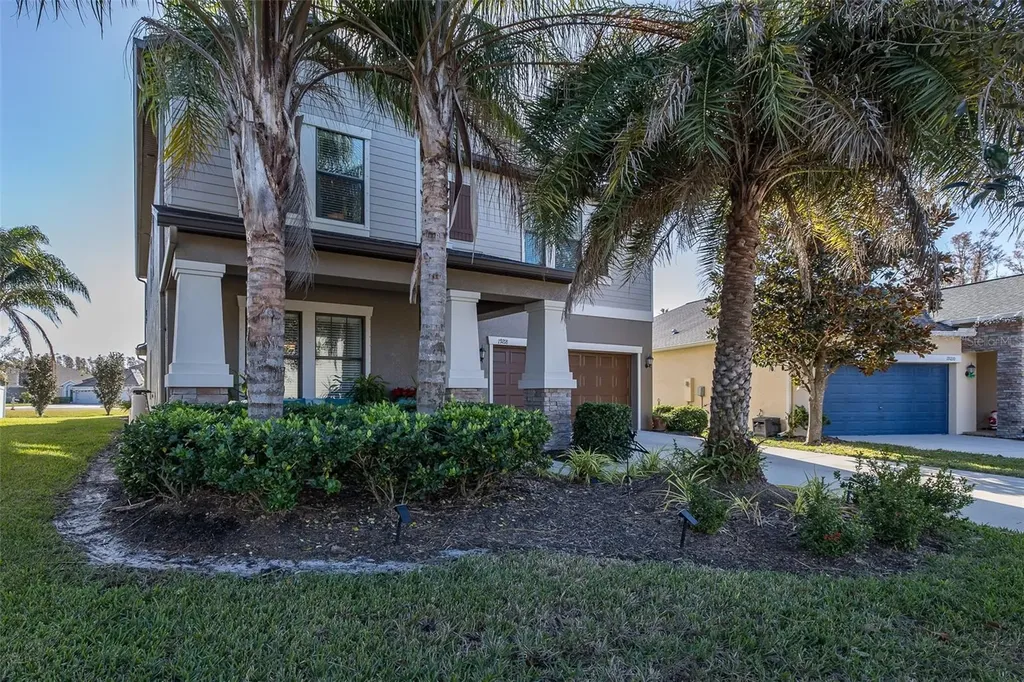 19218 Alexandrea Lee Court Land O Lakes FL 34638