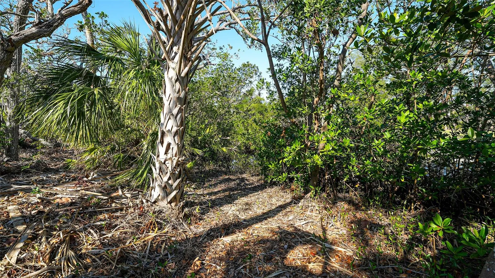 660 Longview Drive Longboat Key FL 34228