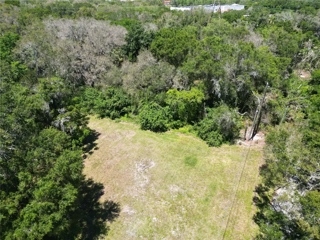 Elm Street Safety Harbor FL 34695
