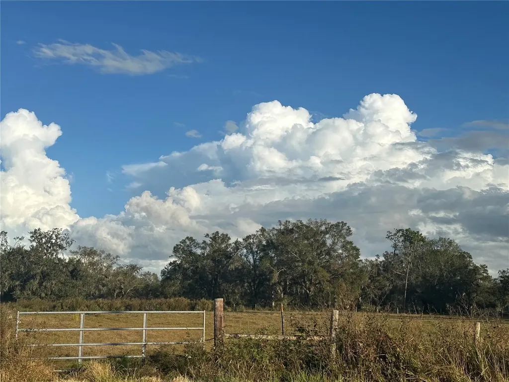 0 Polk Road Wauchula FL 33873