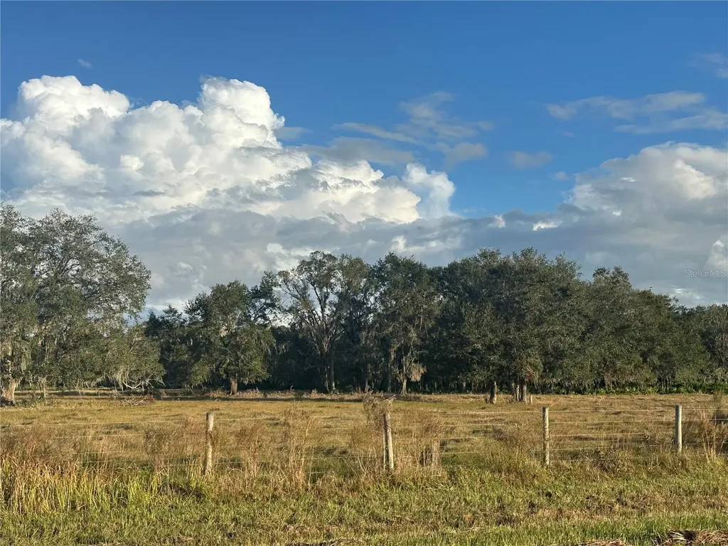 0 Polk Road Wauchula FL 33873