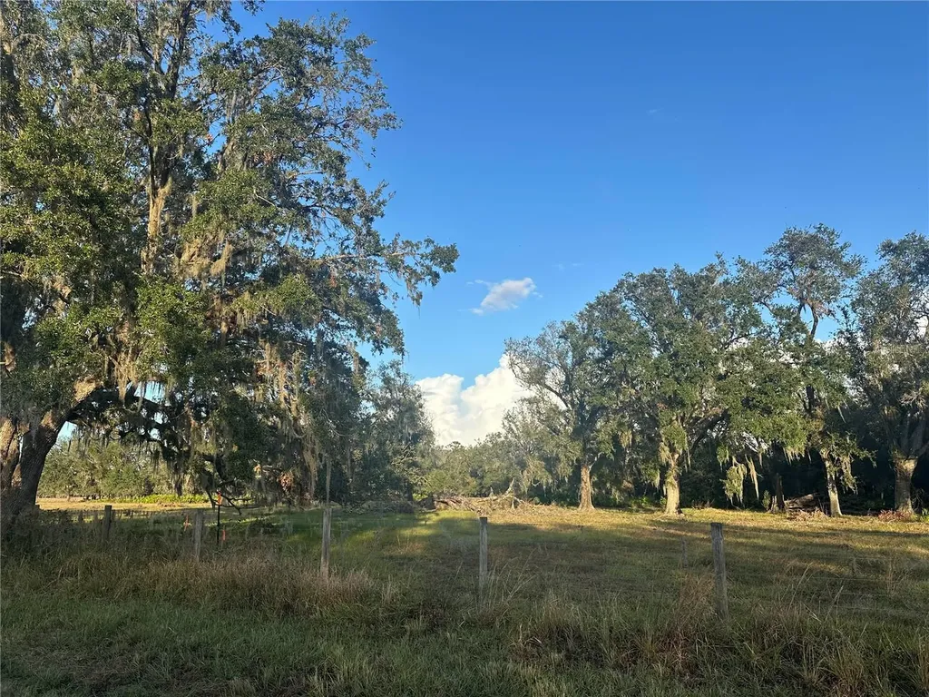 0 Polk Road Wauchula FL 33873