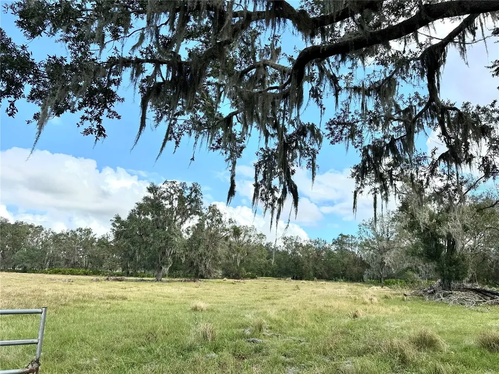 0 Polk Road Wauchula FL 33873