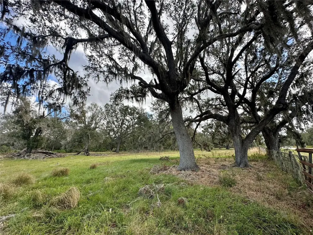 0 Polk Road Wauchula FL 33873