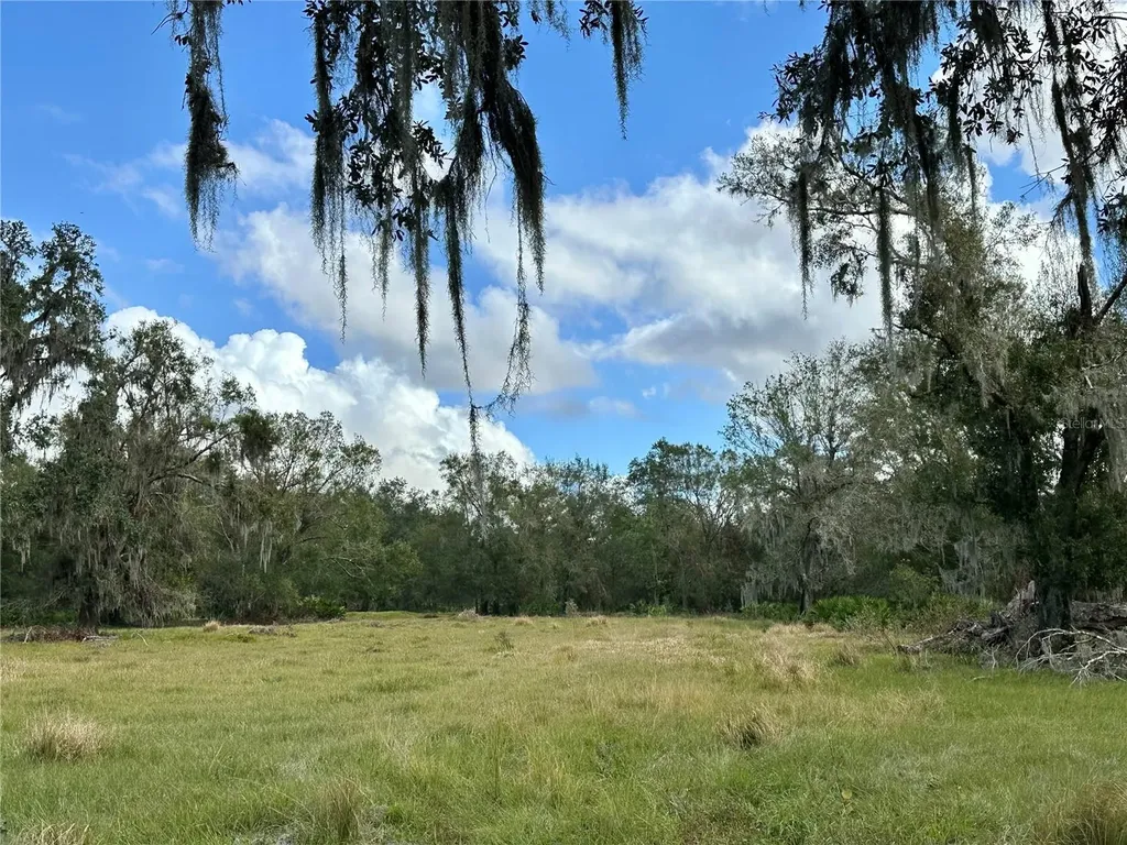 0 Polk Road Wauchula FL 33873