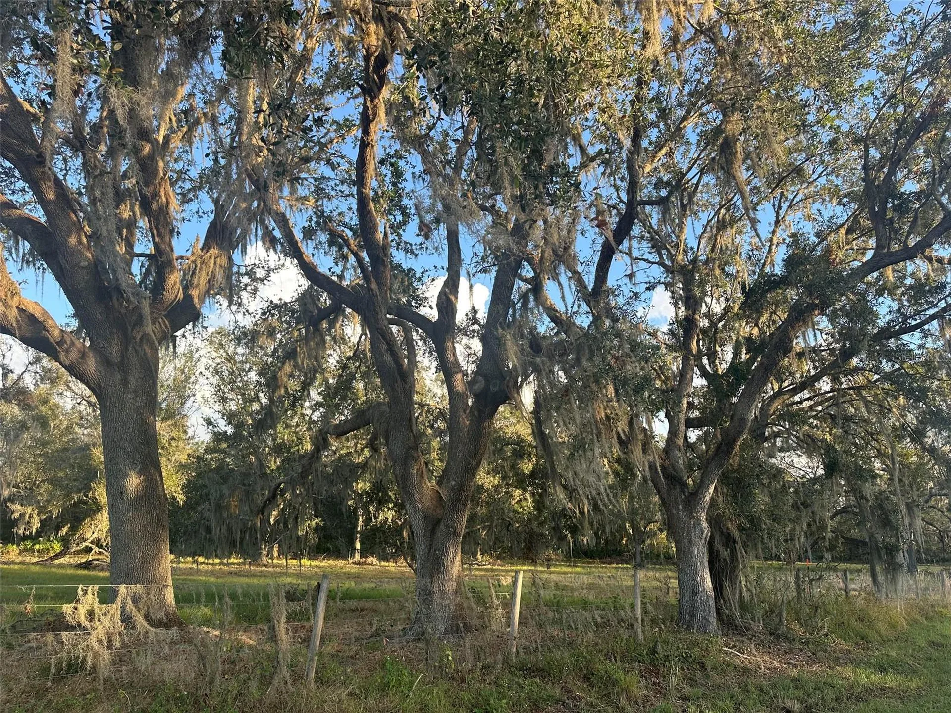 0 Polk Road Wauchula FL 33873