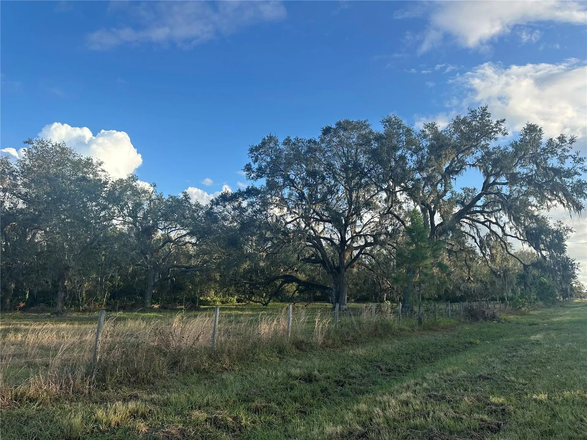 0 Polk Road Wauchula FL 33873