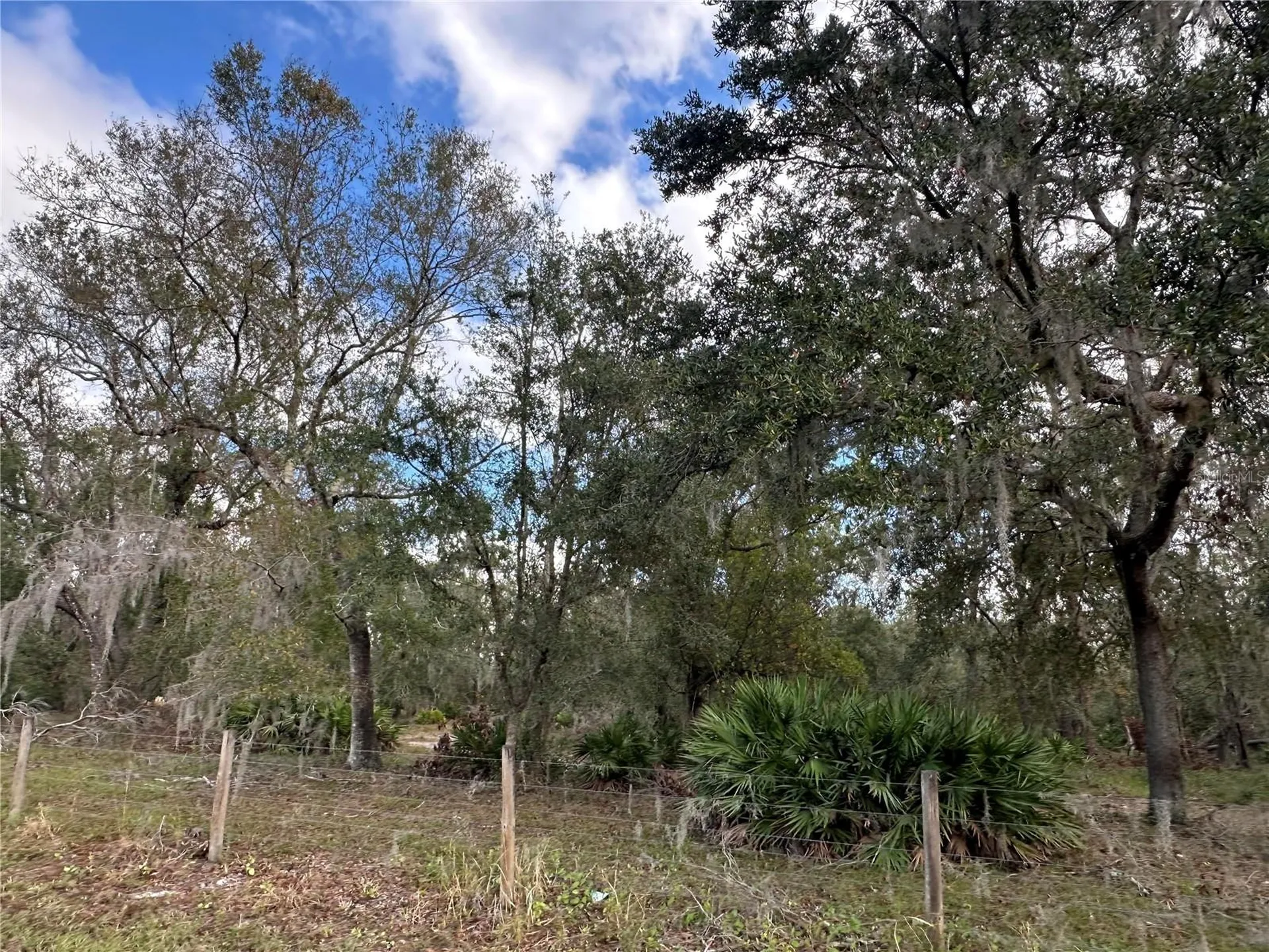 0 Polk Road Wauchula FL 33873