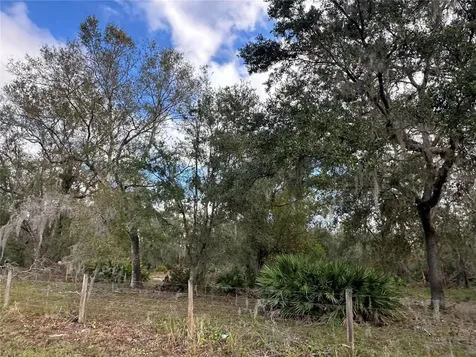 0 Polk Road Wauchula FL 33873