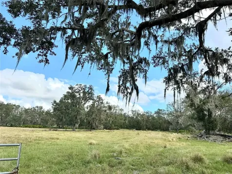 0 Polk Road Wauchula FL 33873