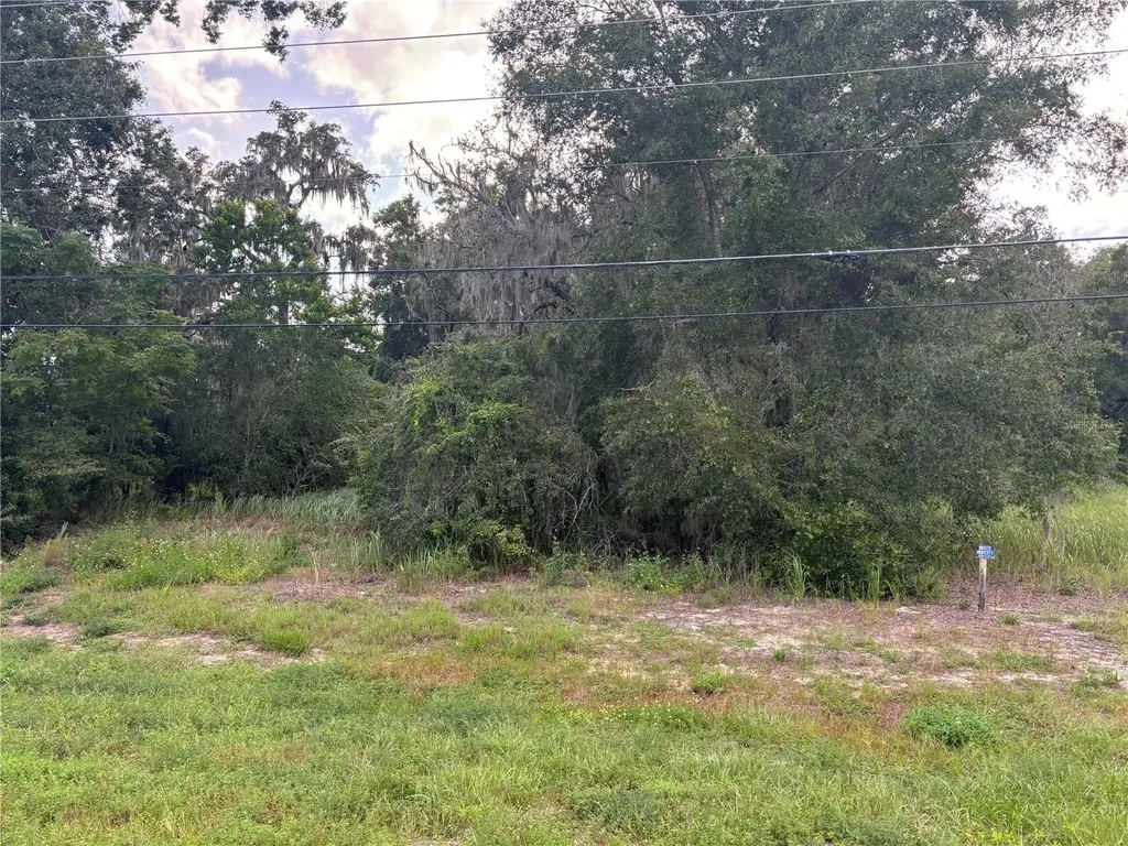 Us Highway 301 Belleview FL 34420
