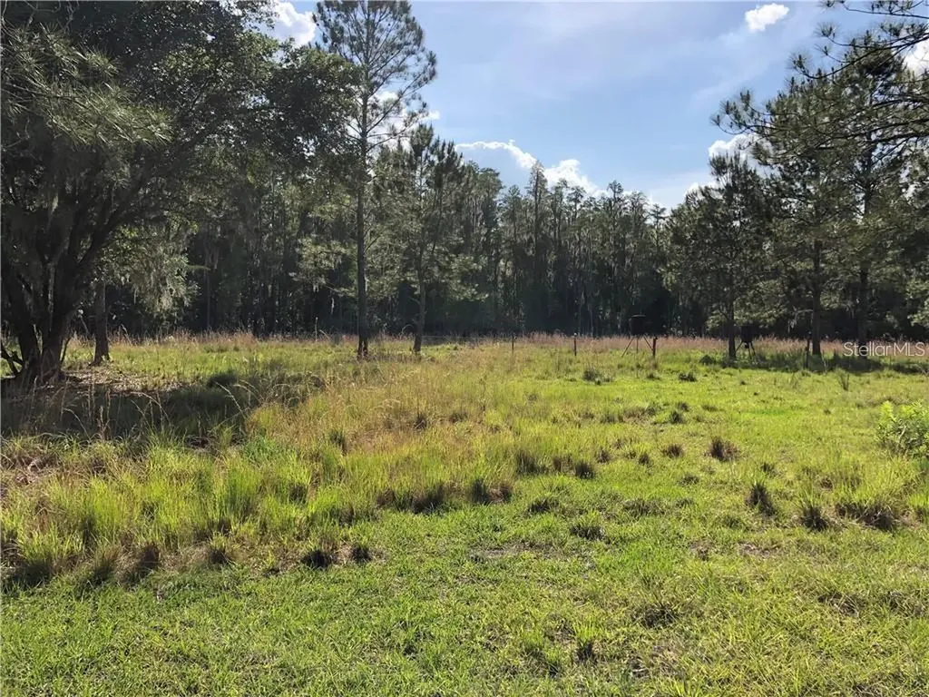 17301 Morris Bridge Road Thonotosassa FL 33592