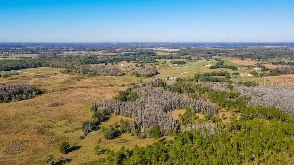 17301 Morris Bridge Road Thonotosassa FL 33592