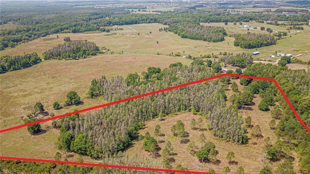 17301 Morris Bridge Road Thonotosassa FL 33592
