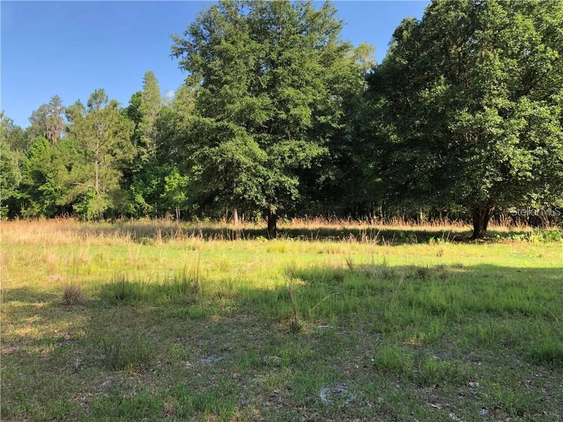 17301 Morris Bridge Road Thonotosassa FL 33592