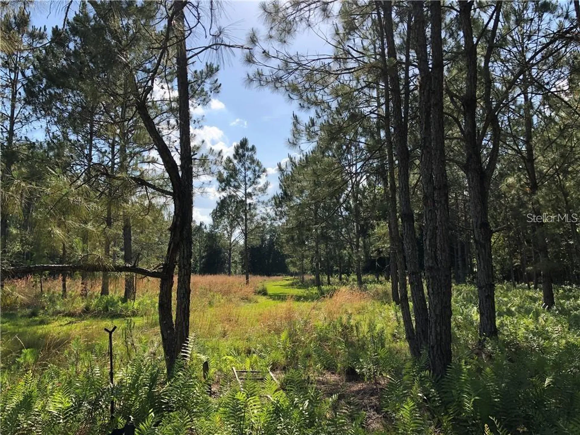 17301 Morris Bridge Road Thonotosassa FL 33592