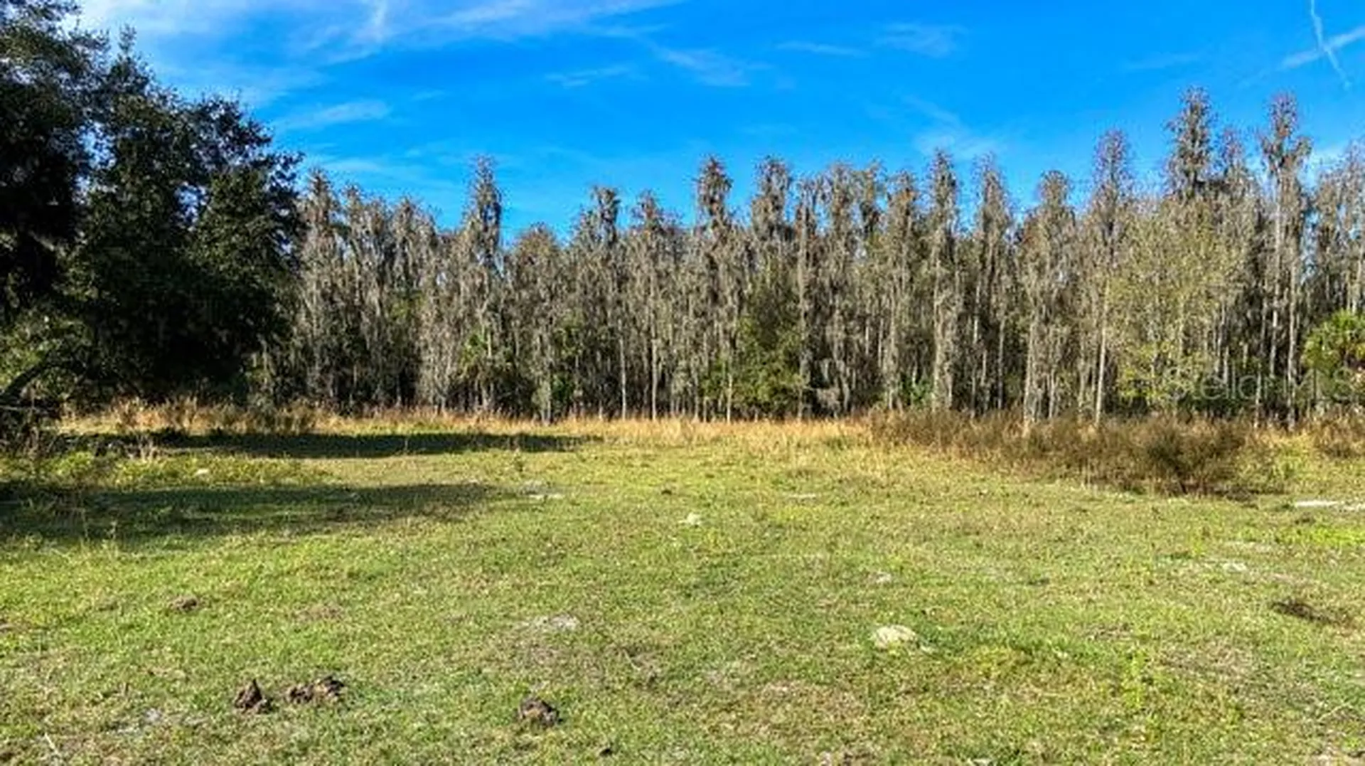 17301 Morris Bridge Road Thonotosassa FL 33592