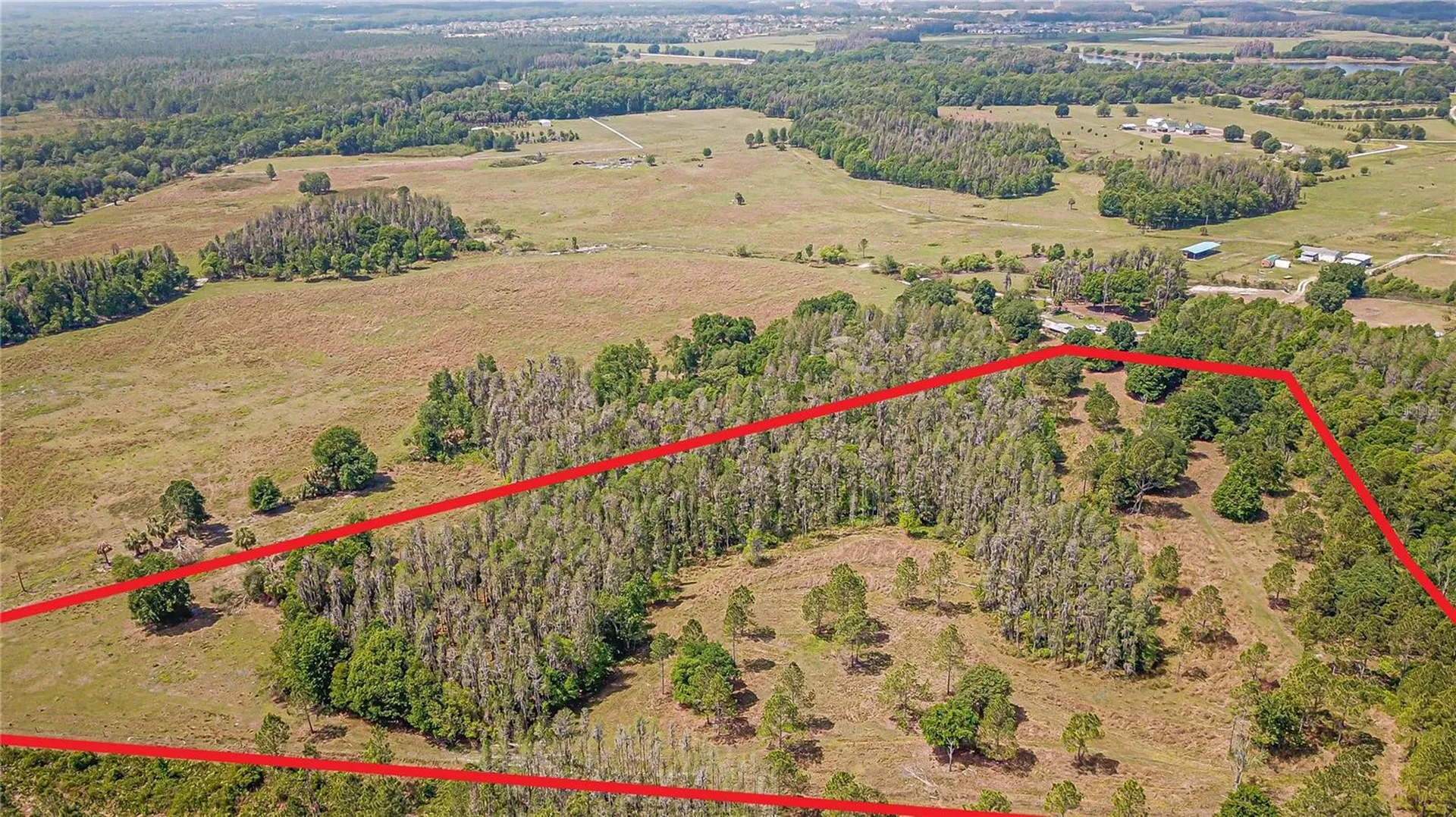 17301 Morris Bridge Road Thonotosassa FL 33592