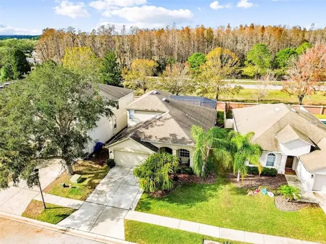 3327 Downan Point Drive Land O Lakes FL 34638