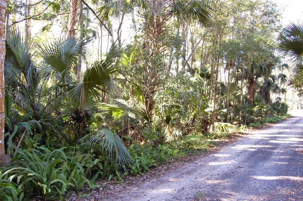 0 Palm Drive New Smyrna Beach FL 32168