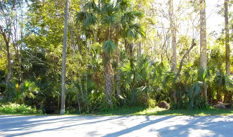 0 Palm Drive New Smyrna Beach FL 32168